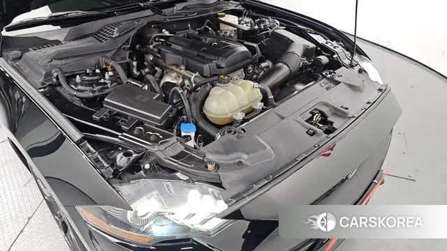 Ford Mustang id 3017023 из Кореи 16