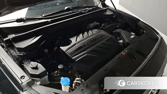 Hyundai Santa Fe TM id 3060910 из Кореи 16