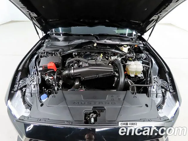 Ford Mustang 7th Generation id 2735153 из Кореи 16