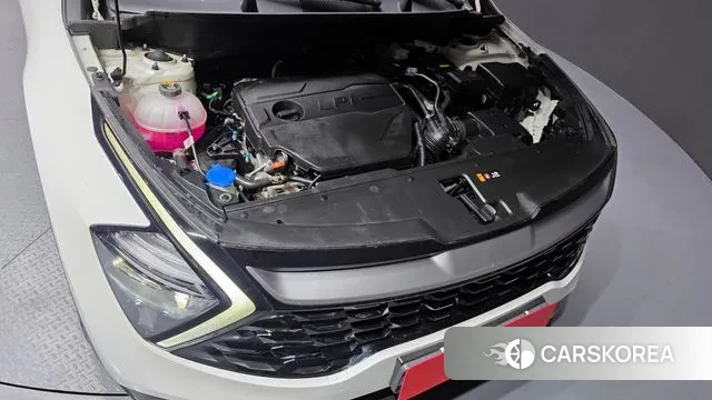 Kia Sportage 5th Generation id 3503175 из Кореи 16