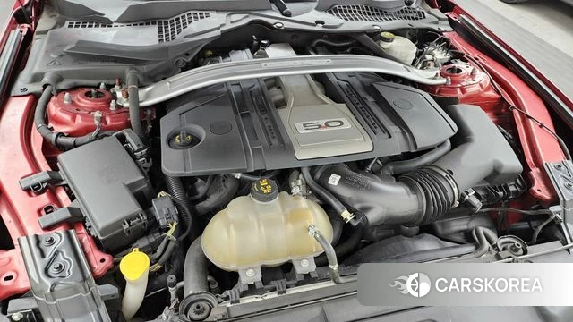 Ford Mustang id 4520053 из Кореи 26