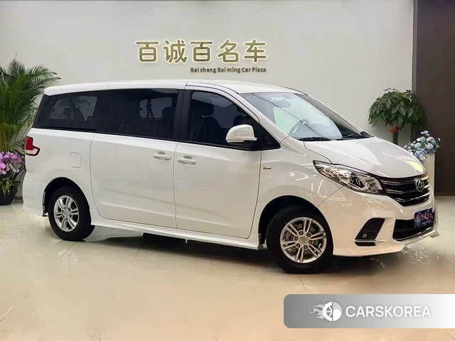 Chase G10 id 4209623 из Китая 13
