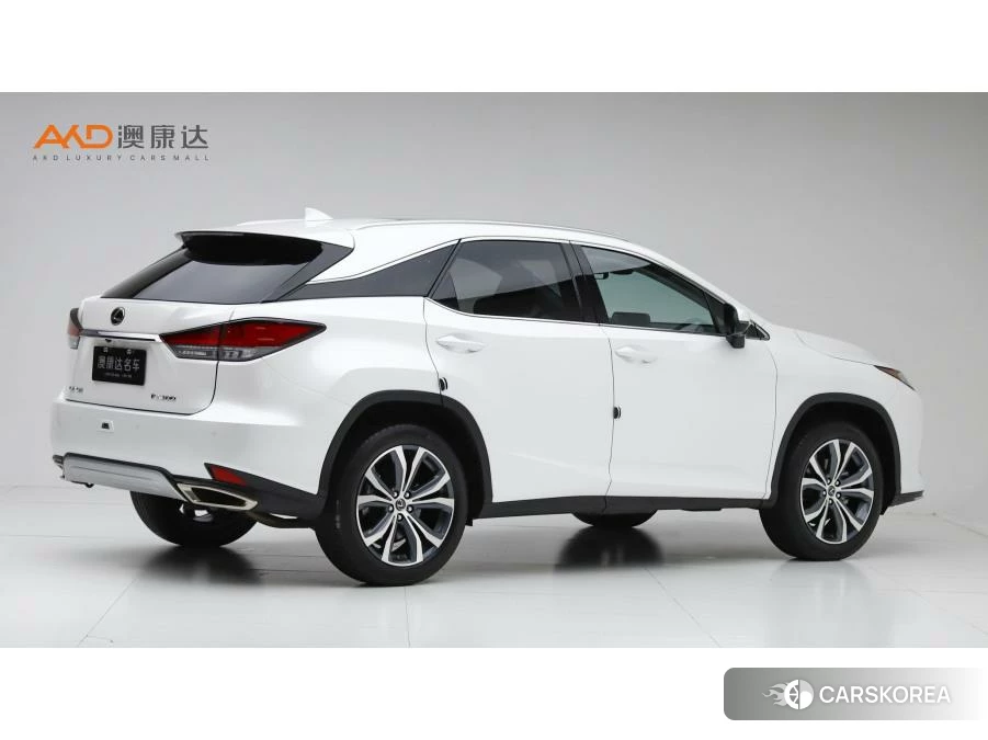 Lexus RX 2020 Белый из Китая, фото 6