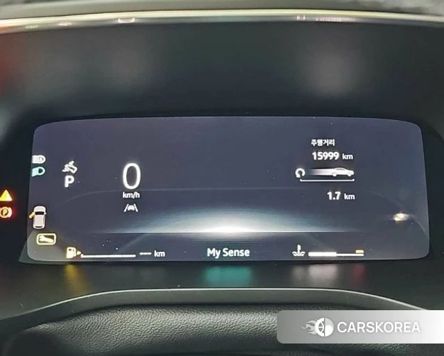 Renault Korea (Samsung) Arcana id 4767366 из Кореи 16