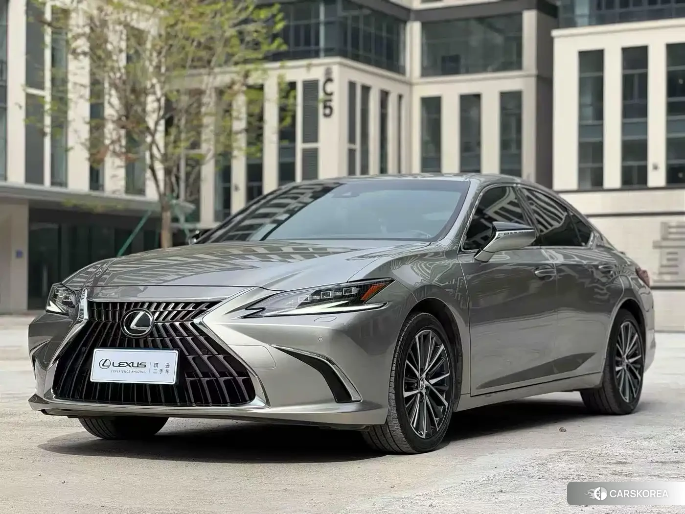 Lexus ES 2024 Silver/gray из Китая, фото 6