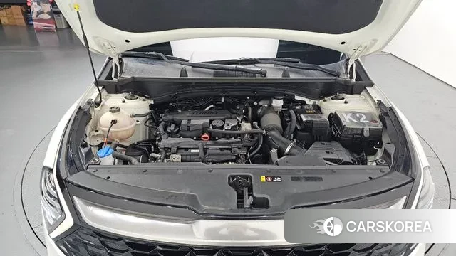 Kia Sportage 5th Generation id 3726900 из Кореи 16