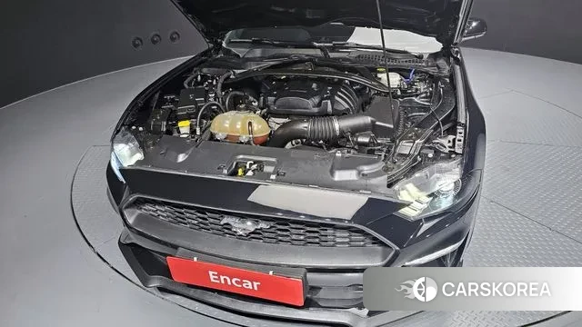 Ford Mustang id 3563172 из Кореи 16