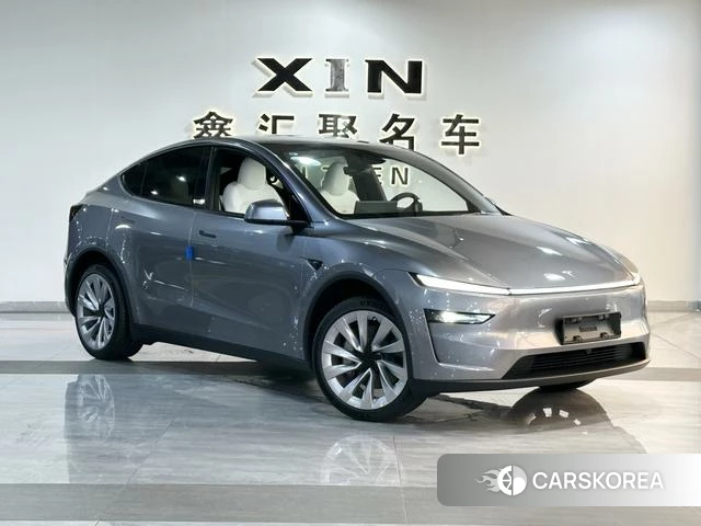 Tesla Model Y id 4207009 из Китая 13