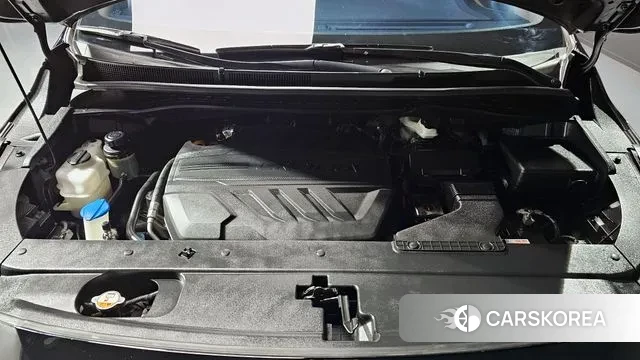 Kia The New Carnival id 3708964 из Кореи 16