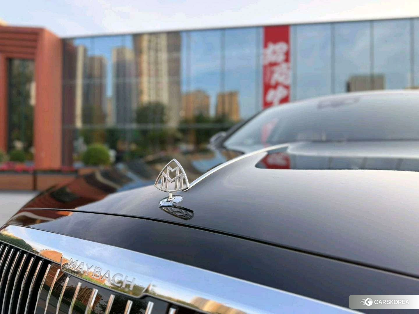Mercedes-Benz Maybach S-class id 4499173 из Китая 7
