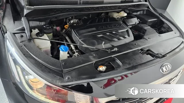 Kia The New Carnival id 3504616 из Кореи 16