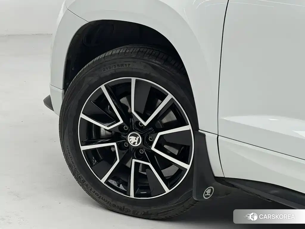 Skoda Karoq id 4680523 из Китая 19