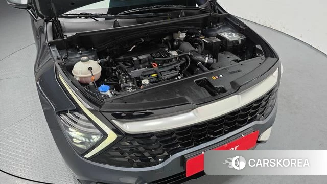 Kia Sportage 5th Generation id 3850516 из Кореи 16