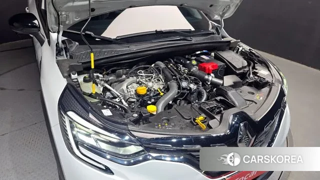 Renault Korea (Samsung) Capture id 3577877 из Кореи 16