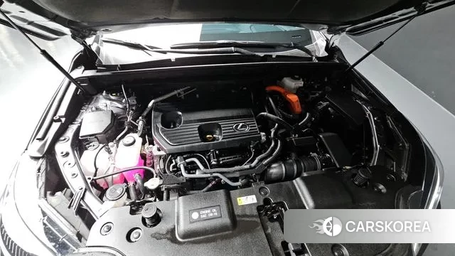 Lexus NX350h Second generation id 3605735 из Кореи 16