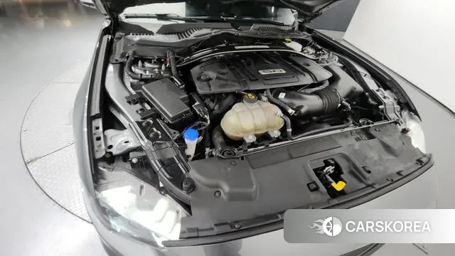 Ford Mustang id 3225397 из Кореи 16