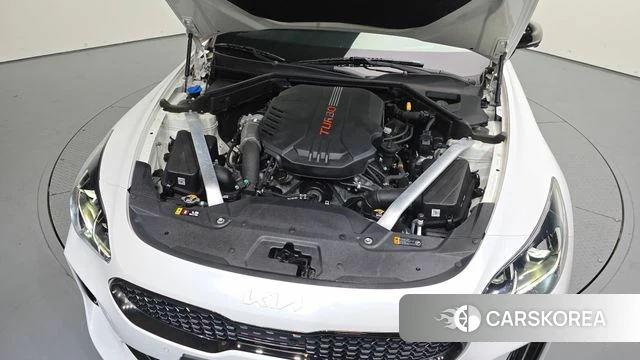Kia Stinger Meister id 4489056 из Кореи 29