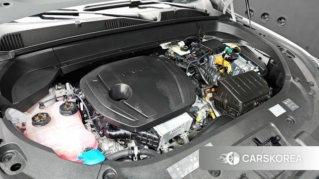 Renault Korea (Samsung) Grand Coleos id 3838087 из Кореи 16