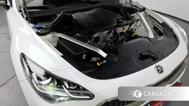 Kia Stinger Meister id 3187066 из Кореи 16