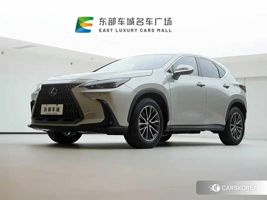 Lexus NX id 4539145 из Китая 17