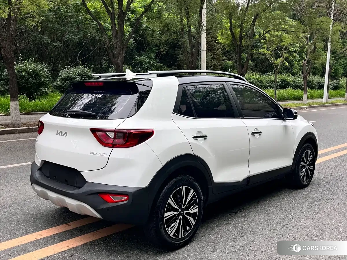 Kia Yi Ran id 4570408 из Китая 11