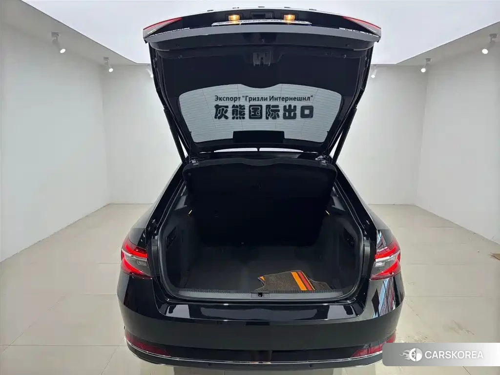 Skoda Speed pie id 4548301 из Китая 12