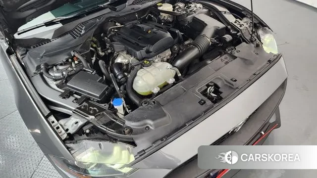 Ford Mustang id 3597480 из Кореи 16