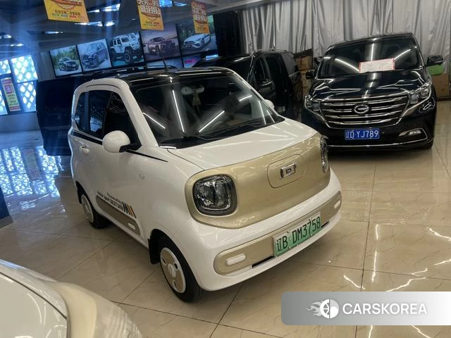 Pentium pony 2025 Белый из Китая, фото 6