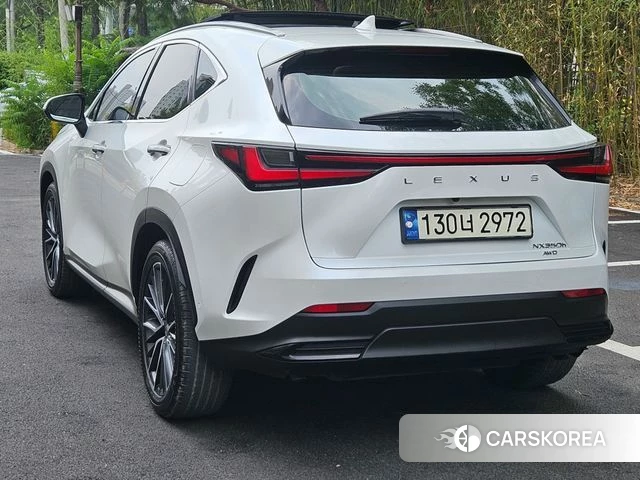 Lexus NX350h Second generation id 4704928 из Кореи 16