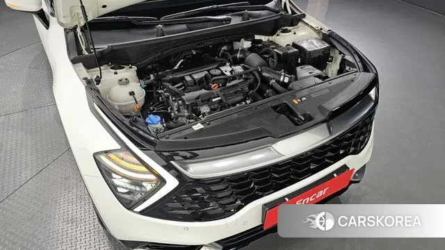 Kia Sportage 5th Generation id 3058675 из Кореи 16