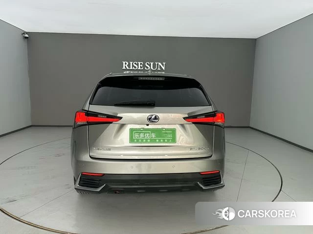 Lexus NX id 4242304 из Китая 12