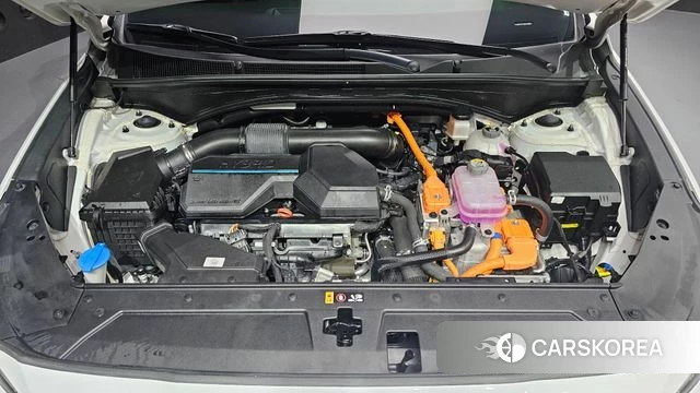 Hyundai The New Santa Fe id 4692914 из Кореи 29