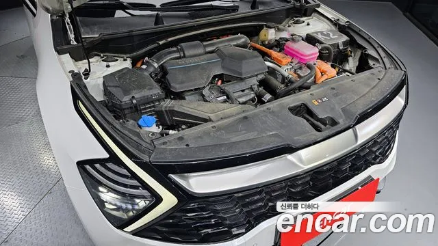 Kia Sportage 5th Generation Hybrid id 2715045 из Кореи 16
