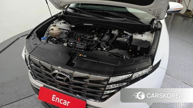 Hyundai Tucson (NX4) id 4223696 из Кореи 26