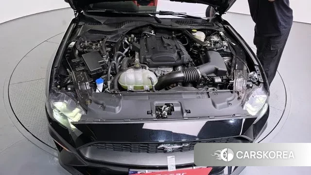 Ford Mustang id 3036564 из Кореи 16