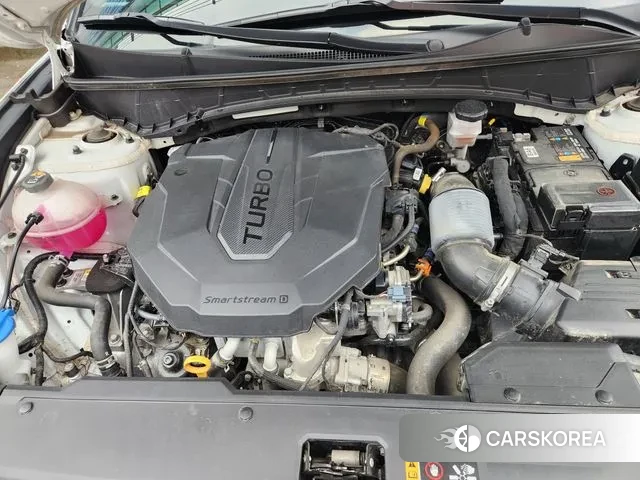 Hyundai Tucson (NX4) 2023 Белый из Кореи, фото 6