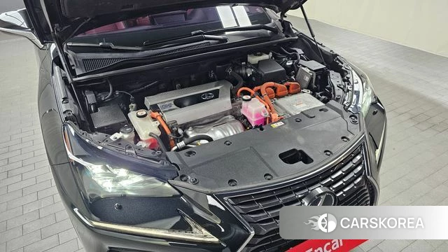 Lexus NX300h id 4396346 из Кореи 26