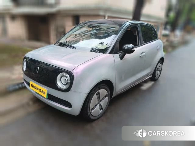 Euler Black cat 2019 Белый из Китая, фото 6