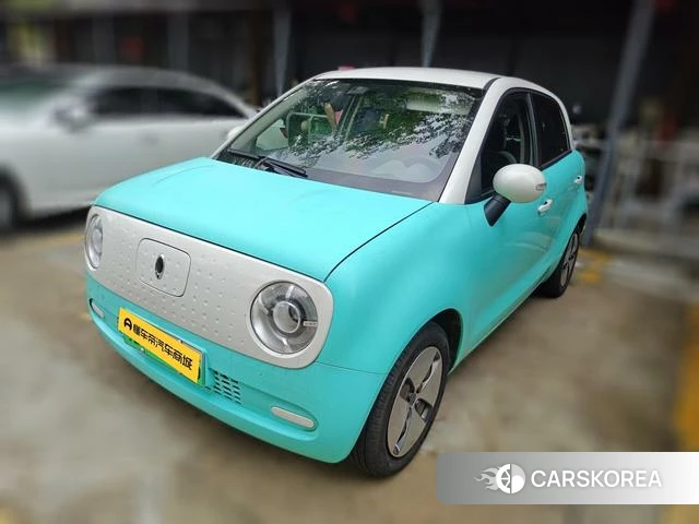 Euler Black cat 2020 Другой из Китая, фото 6