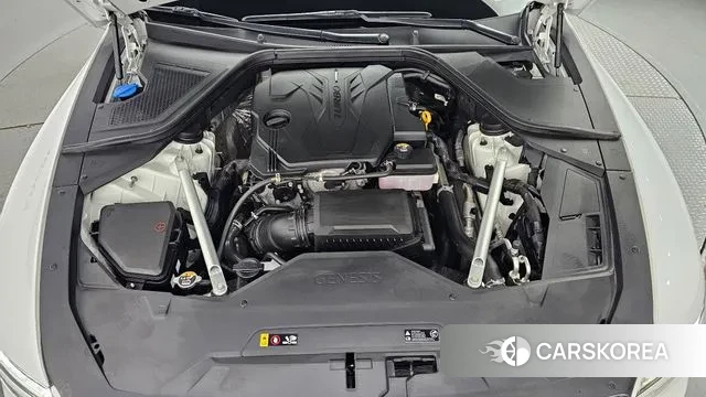 Genesis G80 (RG3) id 3017490 из Кореи 16