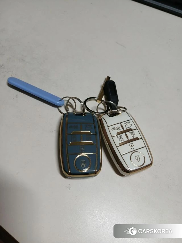 Kia The New Carnival id 4225734 из Кореи 11