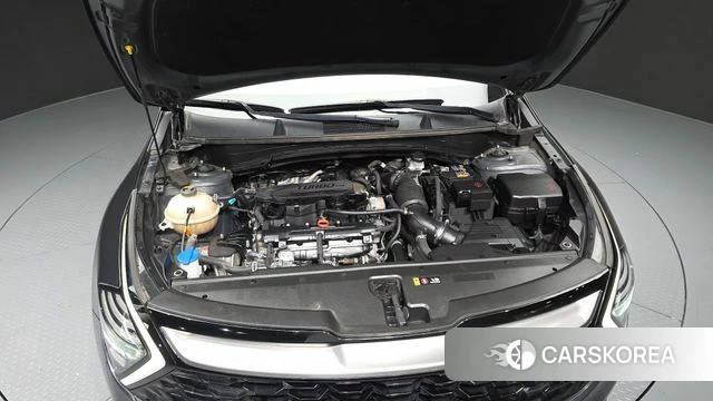 Kia Sportage 5th Generation id 4697572 из Кореи 16