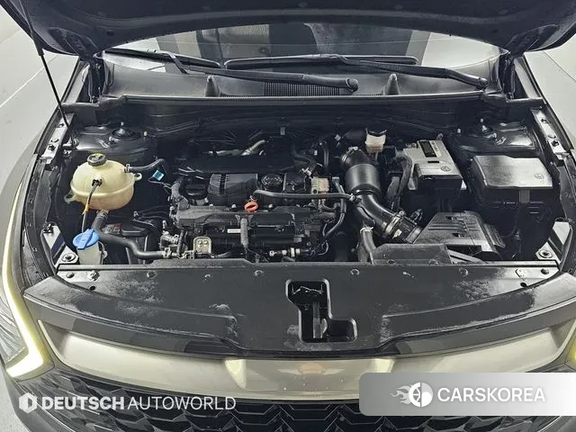 Kia Sportage 5th Generation id 3421664 из Кореи 16