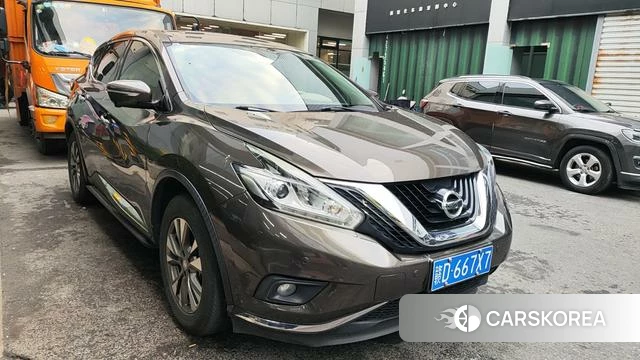 Nissan Loulan 2019 Шампань из Китая, фото 6