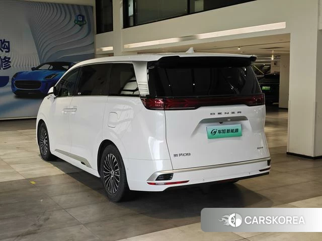 Denza D9 DM 2023 Белый из Китая, фото 6