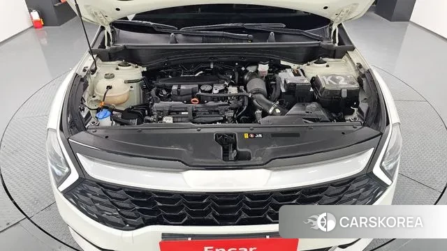 Kia Sportage 5th Generation id 3551020 из Кореи 16