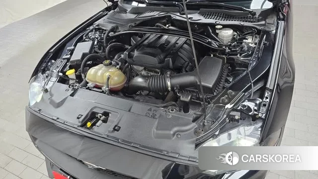 Ford Mustang id 3728120 из Кореи 16