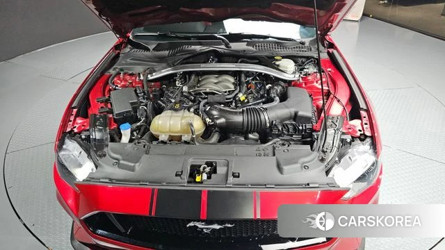 Ford Mustang id 4495842 из Кореи 27