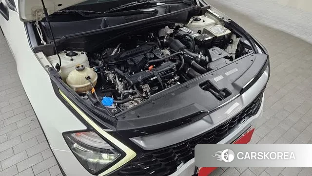 Kia Sportage 5th Generation id 3379006 из Кореи 16