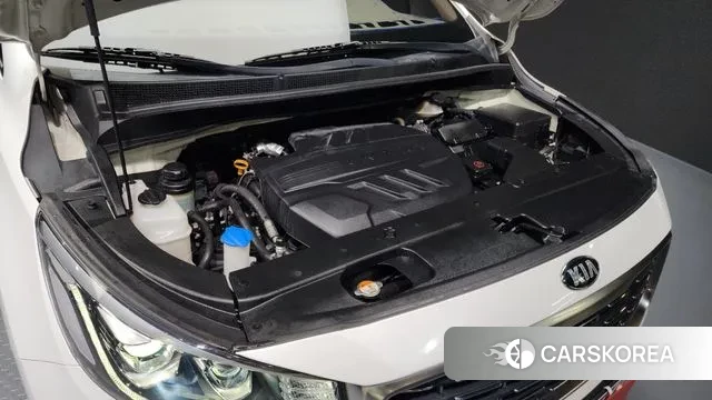 Kia The New Carnival id 3494589 из Кореи 16